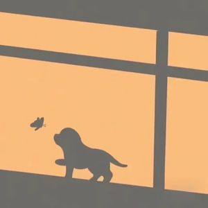 白虎美女 免费看
