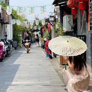 白虎美女 免费看
