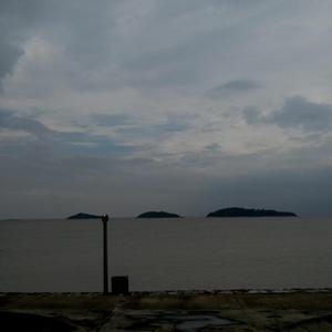 白虎美女 免费看
